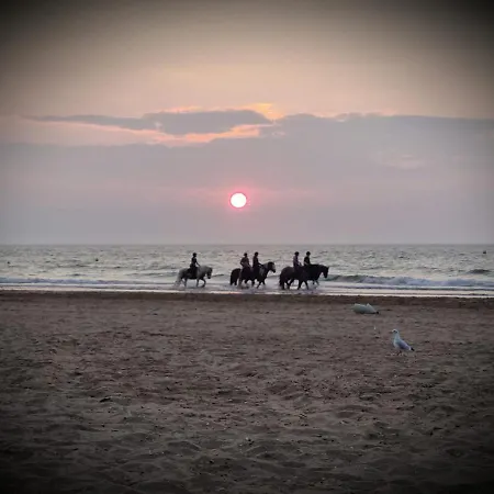 Le Deauvilla - Duplex Penthouse Vue Mer *