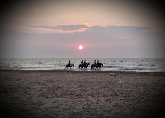 Le Deauvilla - Duplex Penthouse Vue Mer *